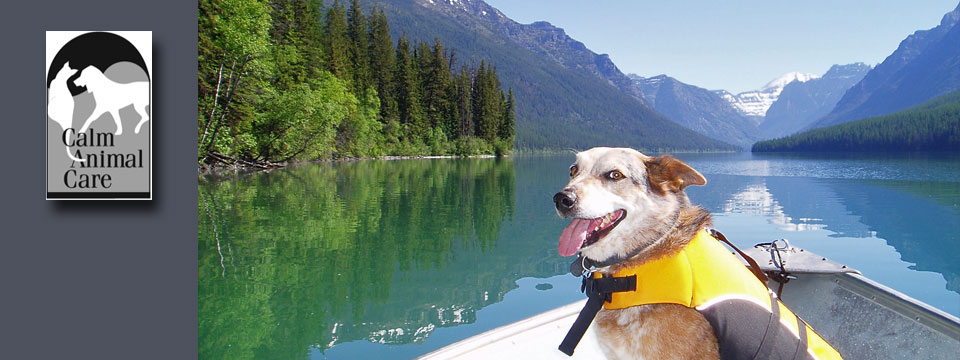 Cisco on a scenic boat ride.